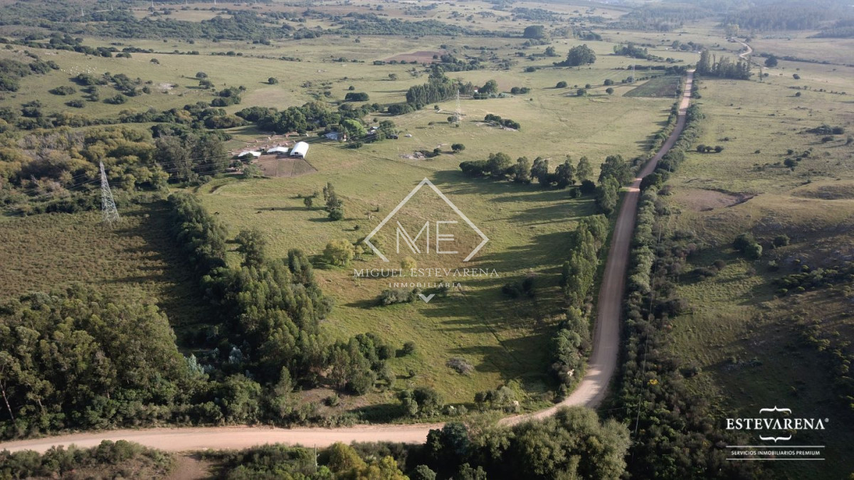Campo Ref.557 - Campo en venta  