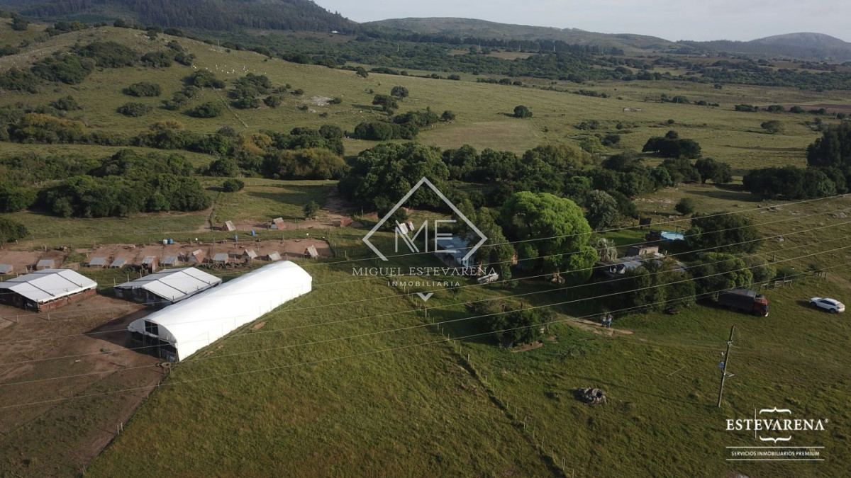 Campo Ref.557 - Campo en venta  