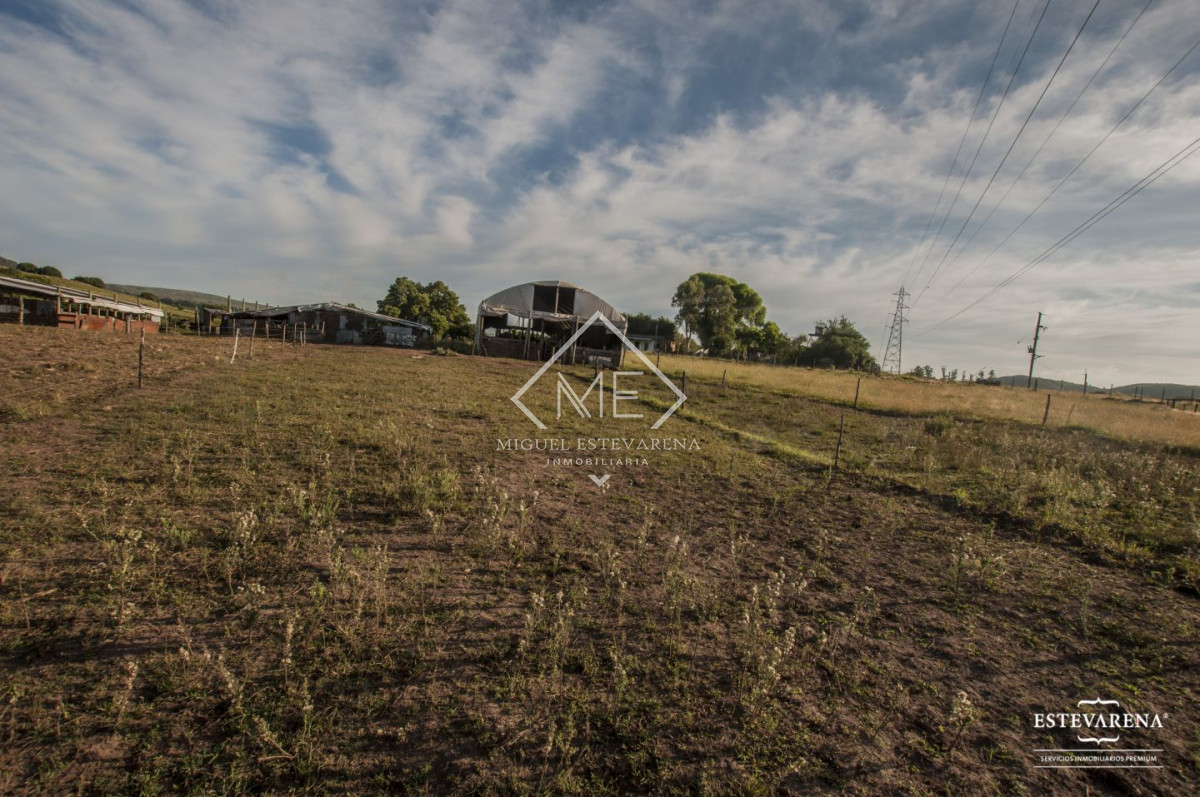 Campo Ref.557 - Campo en venta  