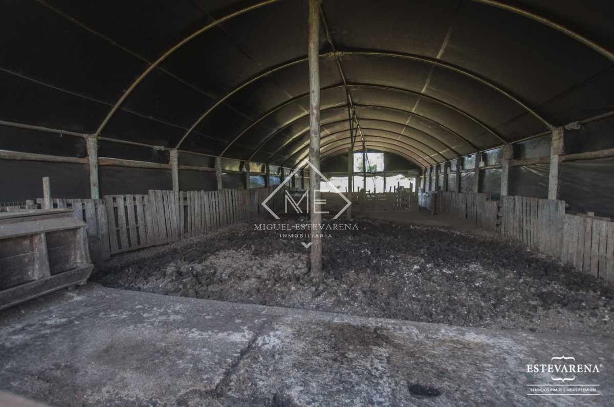 Campo Ref.557 - Campo en venta  