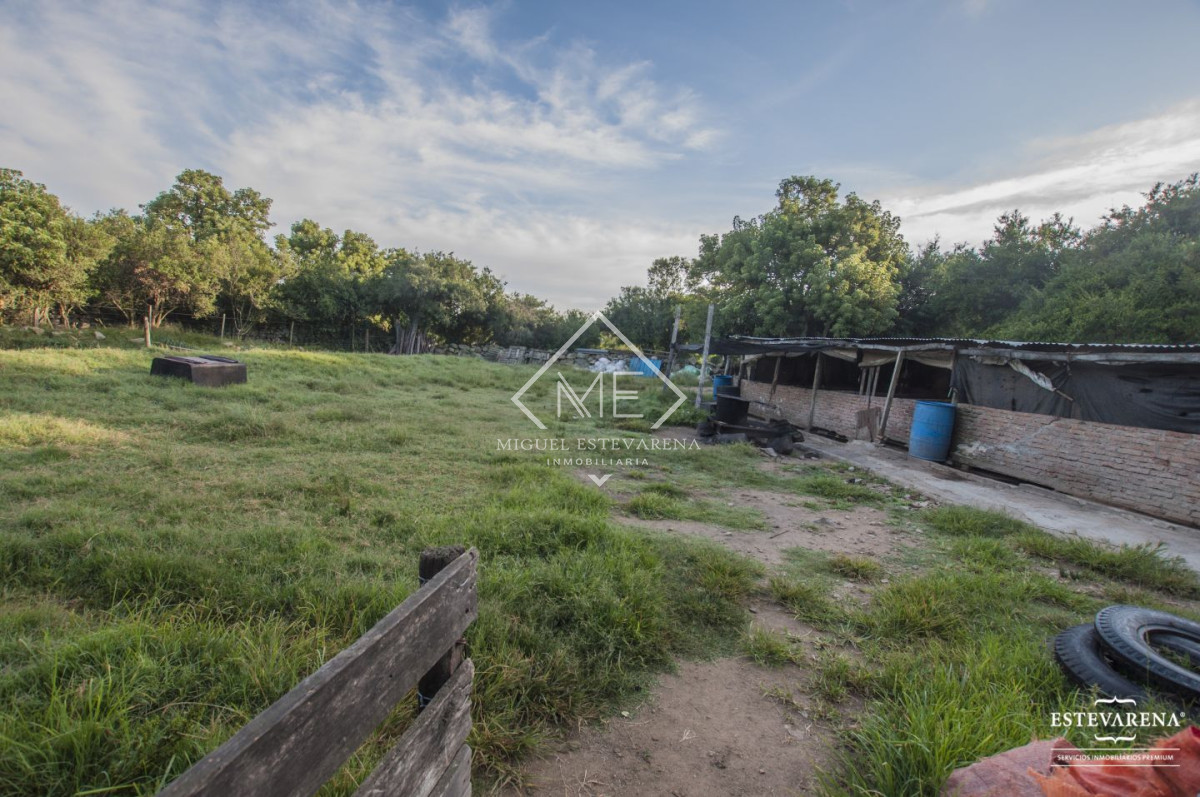 Campo Ref.557 - Campo en venta  