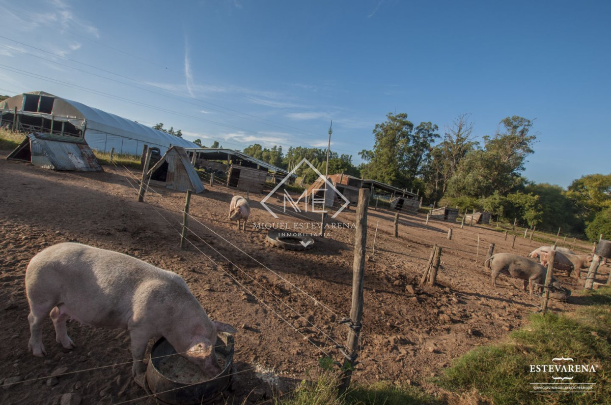 Campo Ref.557 - Campo en venta  
