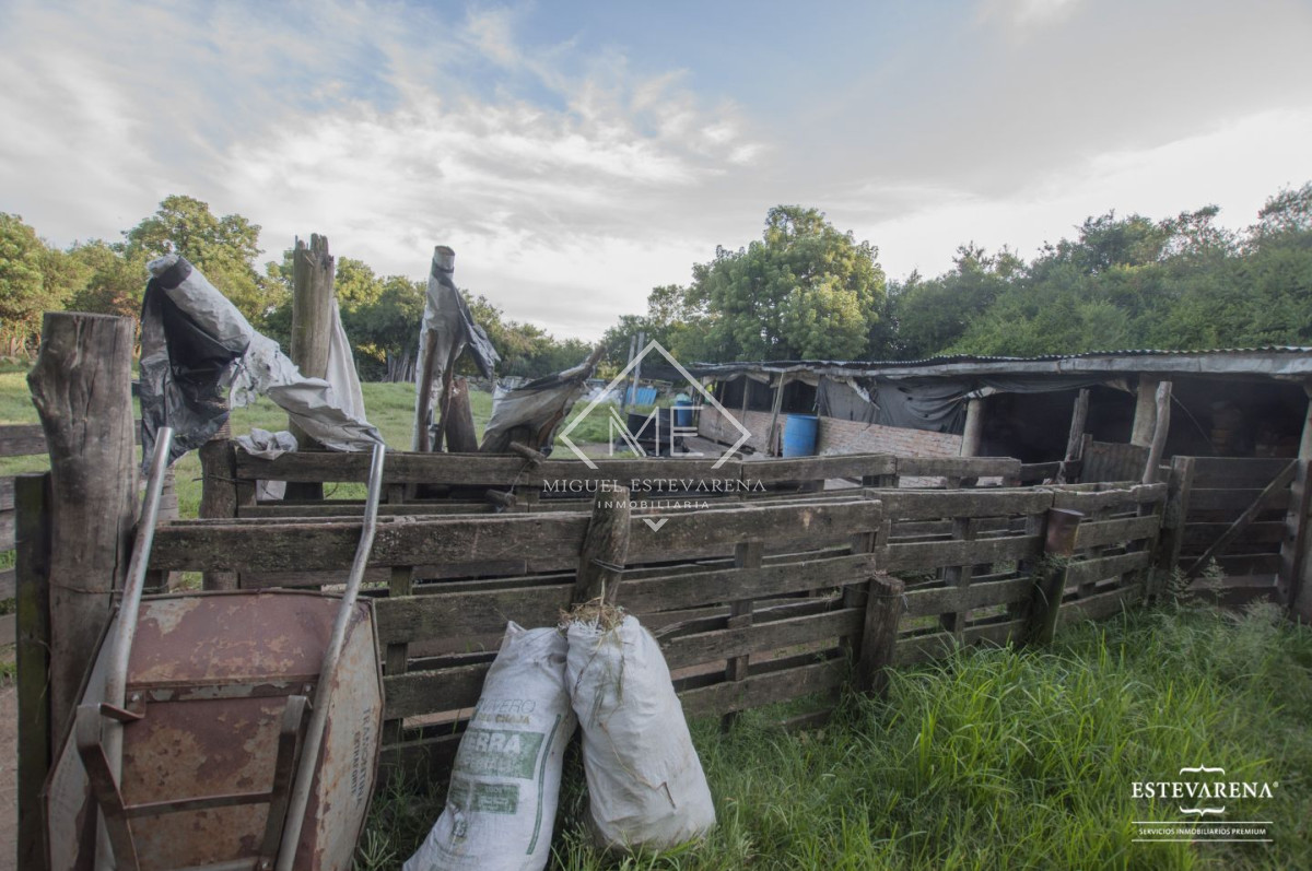 Campo Ref.557 - Campo en venta  