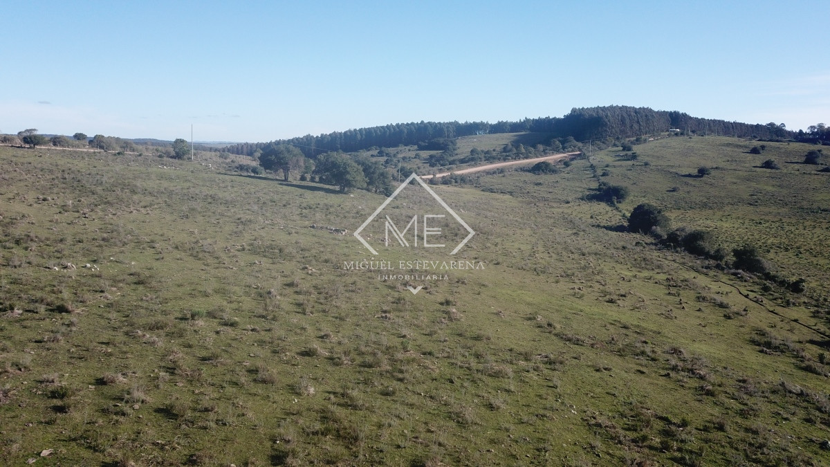 Campo Ref.675 - Campo en Rural, 