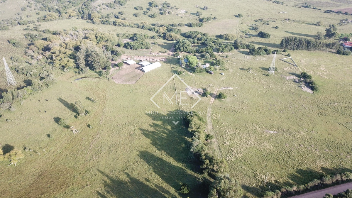 Campo Ref.725 - Campo en venta a 11 km de Minas