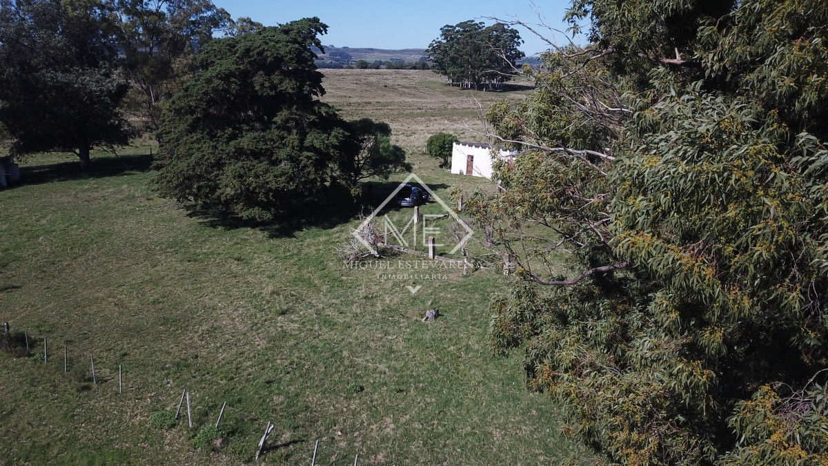 Campo Ref.707 - Campo de 30 hás en venta a 17 km de San Carlos