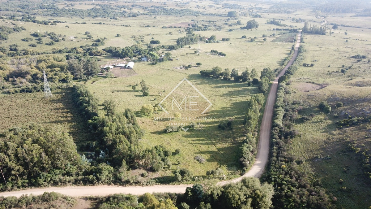 Campo Ref.725 - Campo en venta a 11 km de Minas