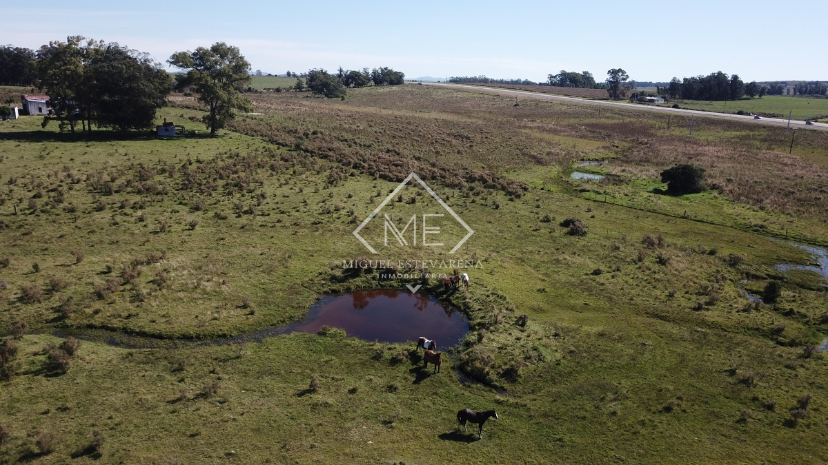 Campo Ref.707 - Campo de 30 hás en venta a 17 km de San Carlos