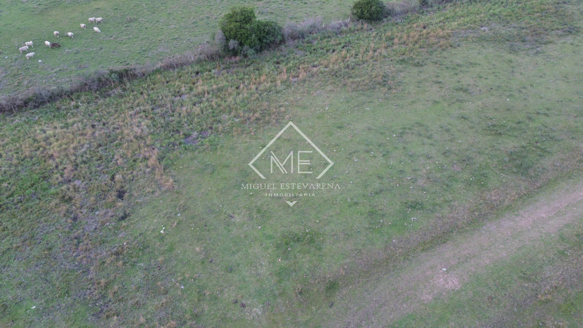 Terreno ID.885 - Venta de Terreno Esquinero en San Francisco de la Sierra - 520 m²