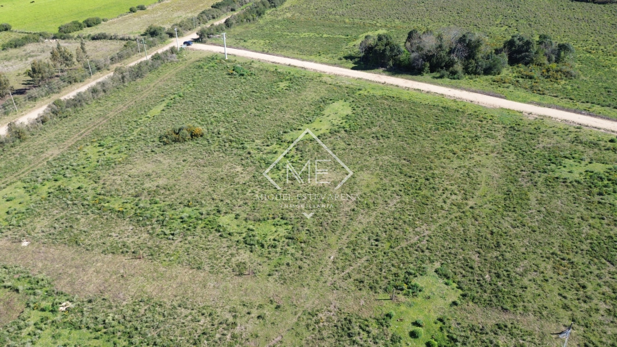 Terreno ID.903 - Venta de Fracciones de 1 Hectárea a Minutos de Minas - Financiación en UI