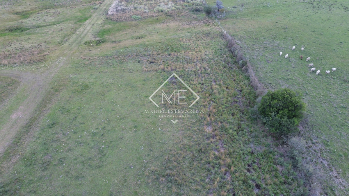 Terreno ID.885 - Venta de Terreno Esquinero en San Francisco de la Sierra - 520 m²