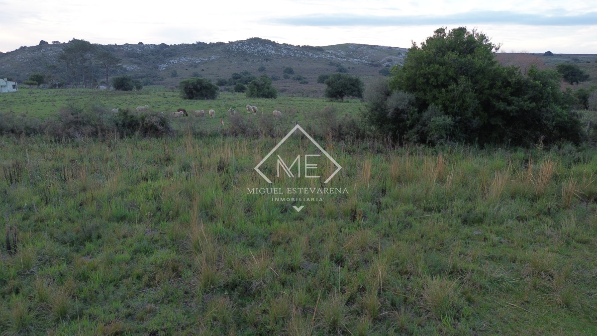 Terreno ID.885 - Venta de Terreno Esquinero en San Francisco de la Sierra - 520 m²