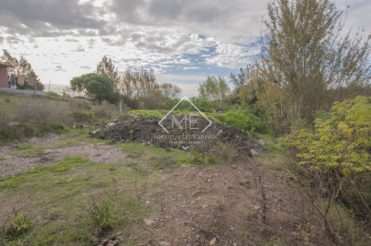 Terreno ID.797 - Terreno a la venta en Minas