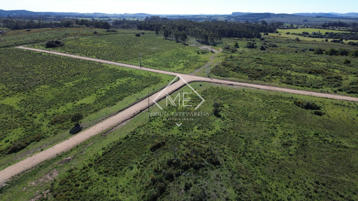 Terreno ID.903 - Venta de Fracciones de 1 Hectárea a Minutos de Minas - Financiación en UI