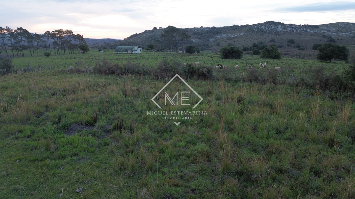 Terreno ID.885 - Venta de Terreno Esquinero en San Francisco de la Sierra - 520 m²