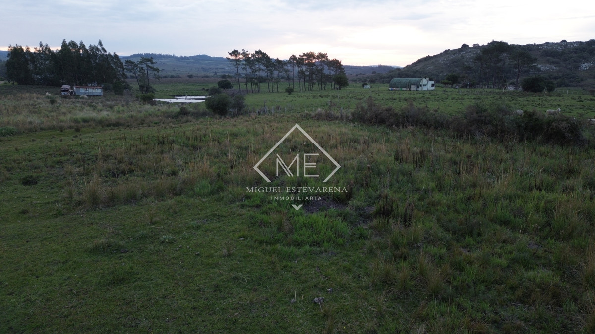 Terreno ID.885 - Venta de Terreno Esquinero en San Francisco de la Sierra - 520 m²