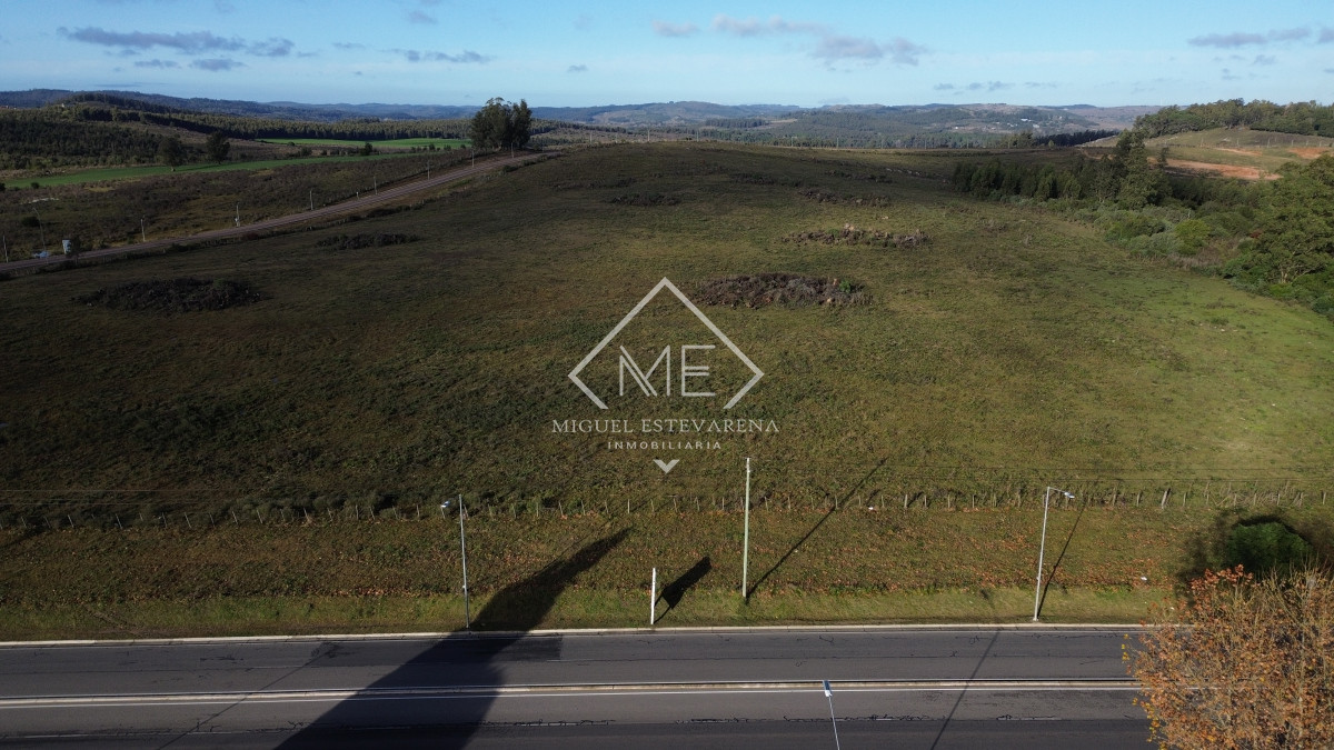 Terreno ID.813 - Venta Terrenos Grandes Minas - Zona Empresa, Logística, Acceso Ruta