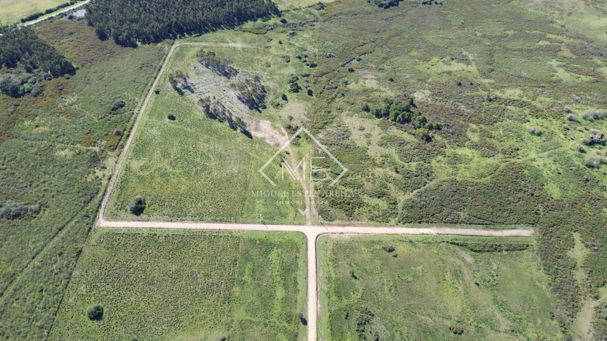 Terreno ID.904 - Terrenos de 10.000 m² en Minas - Entorno de Chacra con Luz de UTE