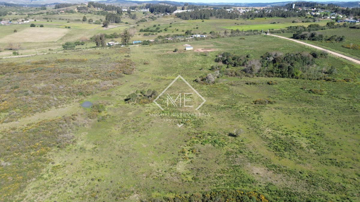 Terreno ID.904 - Terrenos de 10.000 m² en Minas - Entorno de Chacra con Luz de UTE