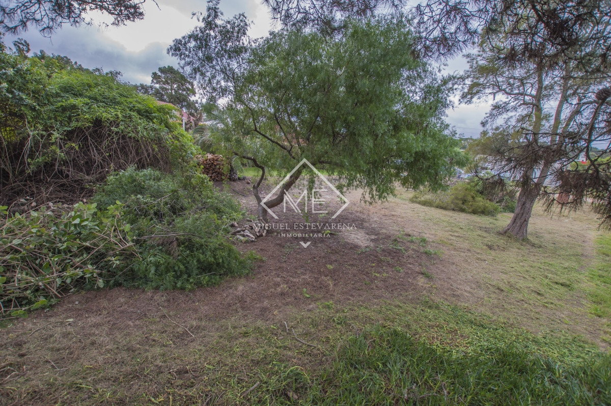 Terreno ID.732 - Excelente terreno en venta en Punta Ballena