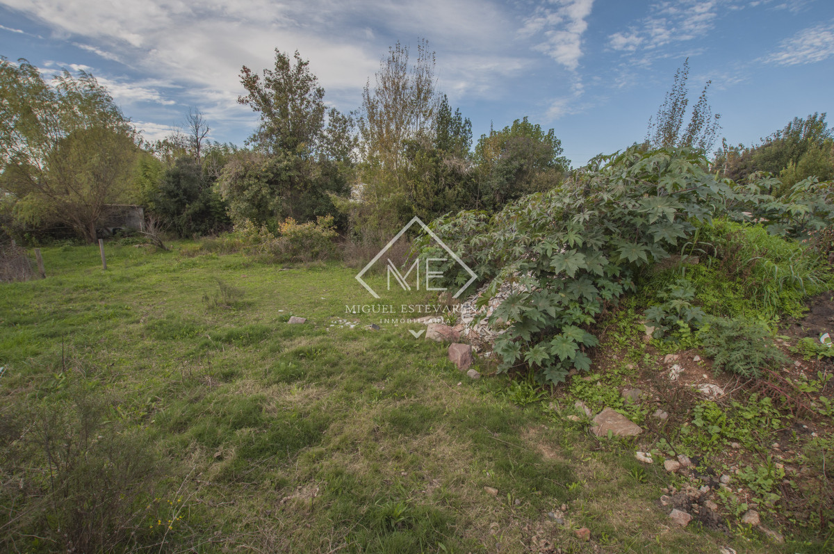 Terreno ID.797 - Terreno a la venta en Minas