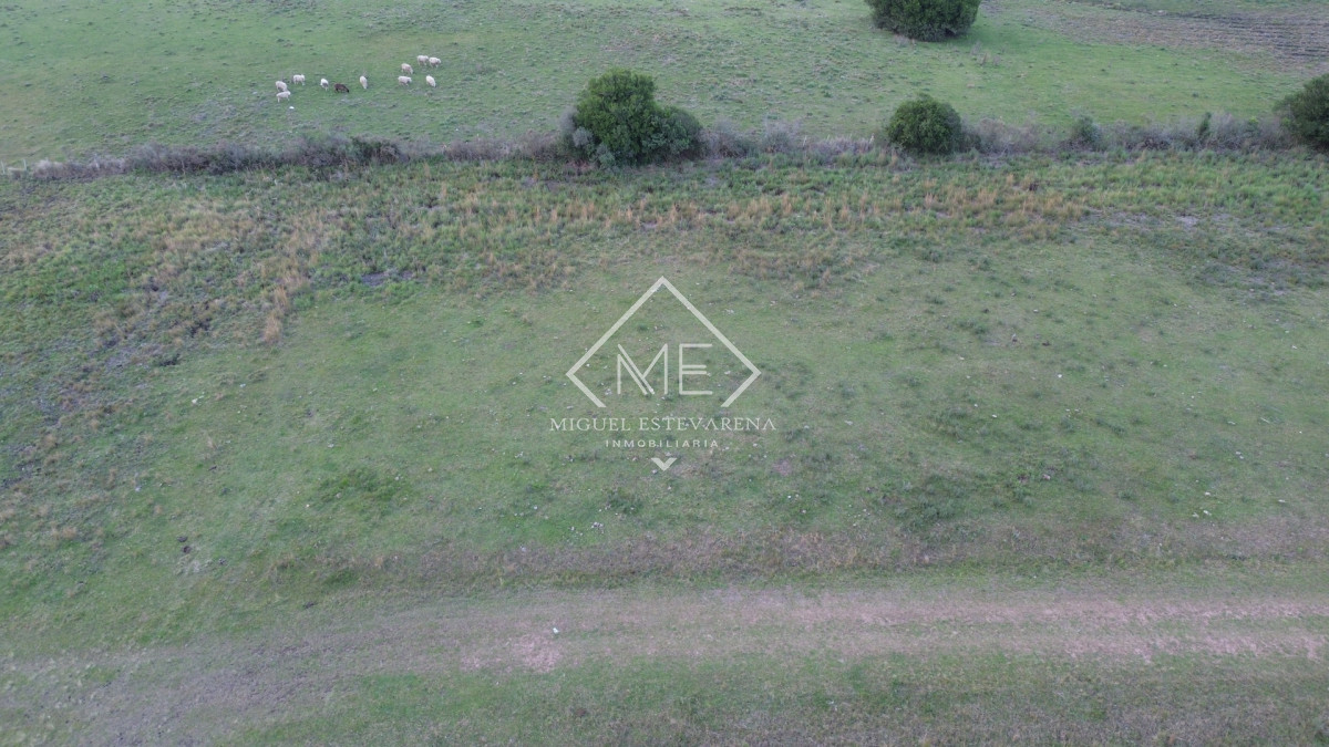 Terreno ID.885 - Venta de Terreno Esquinero en San Francisco de la Sierra - 520 m²