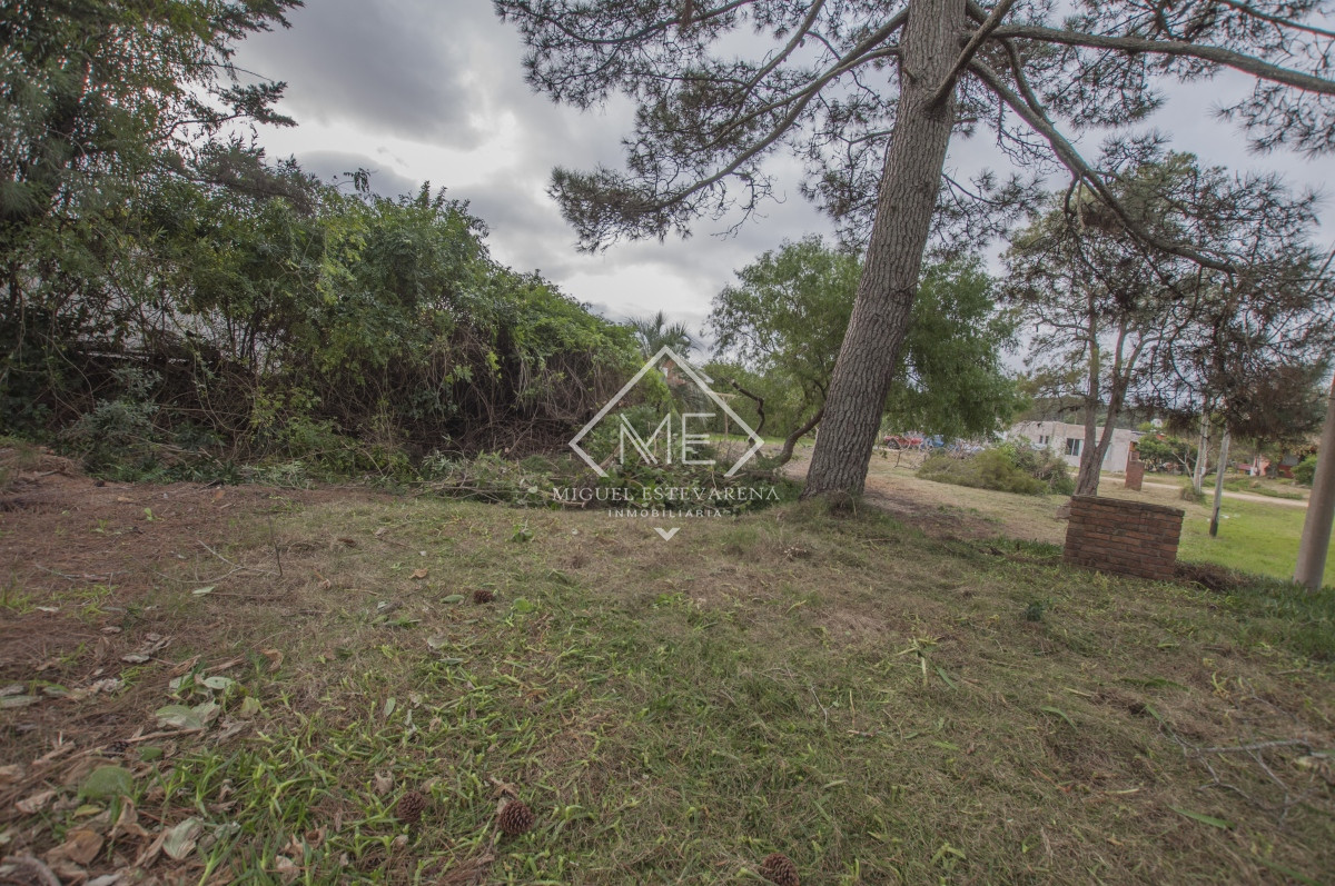 Terreno ID.732 - Excelente terreno en venta en Punta Ballena