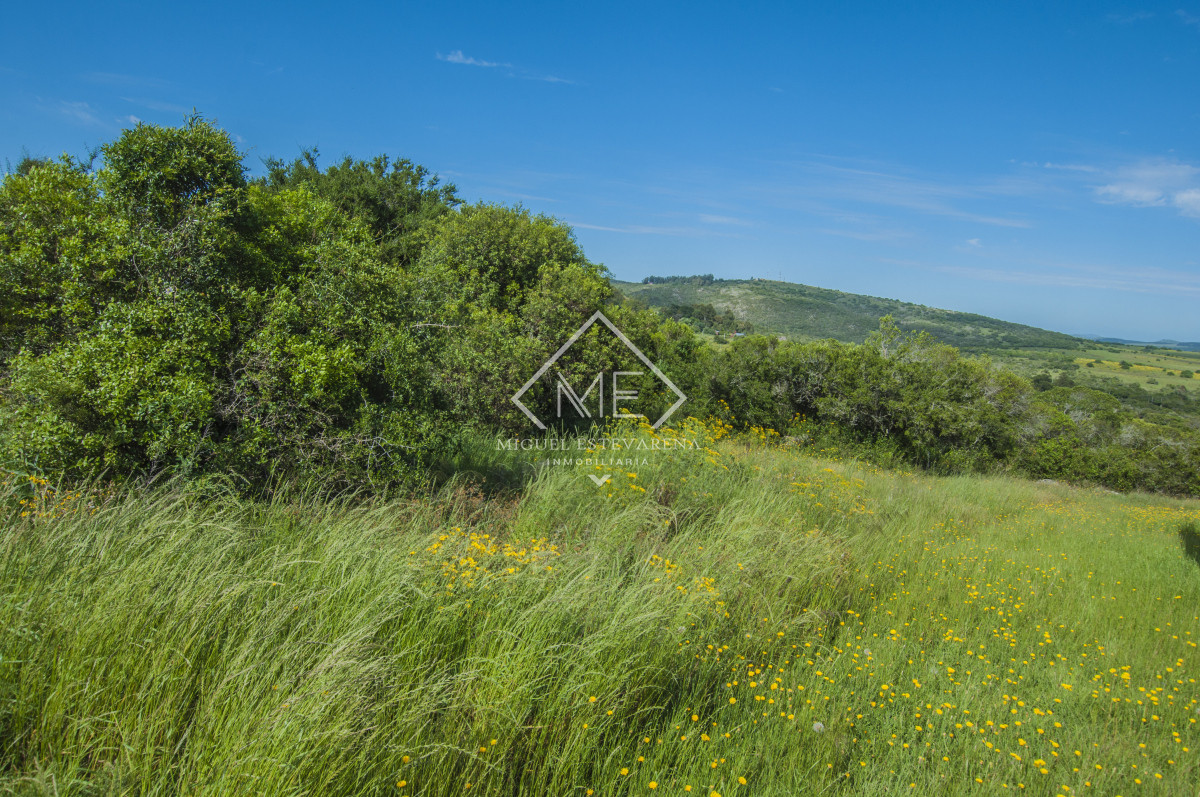 Terreno ID.754 - Increíble terreno a la venta en Villa Serrana
