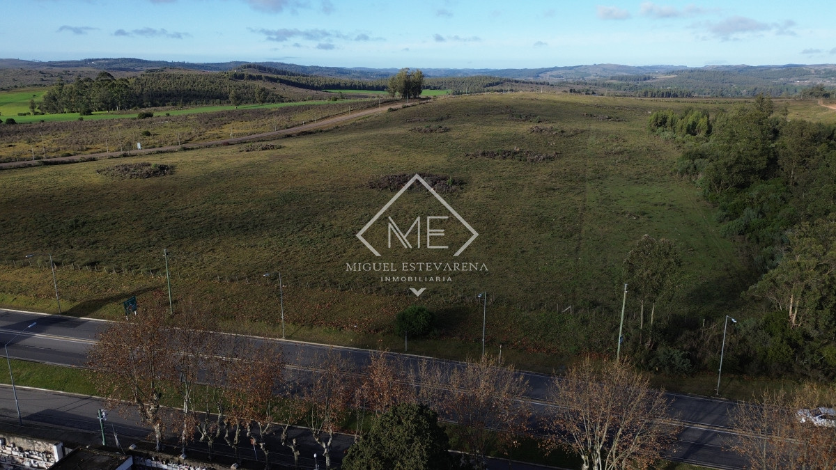 Terreno ID.813 - Venta Terrenos Grandes Minas - Zona Empresa, Logística, Acceso Ruta