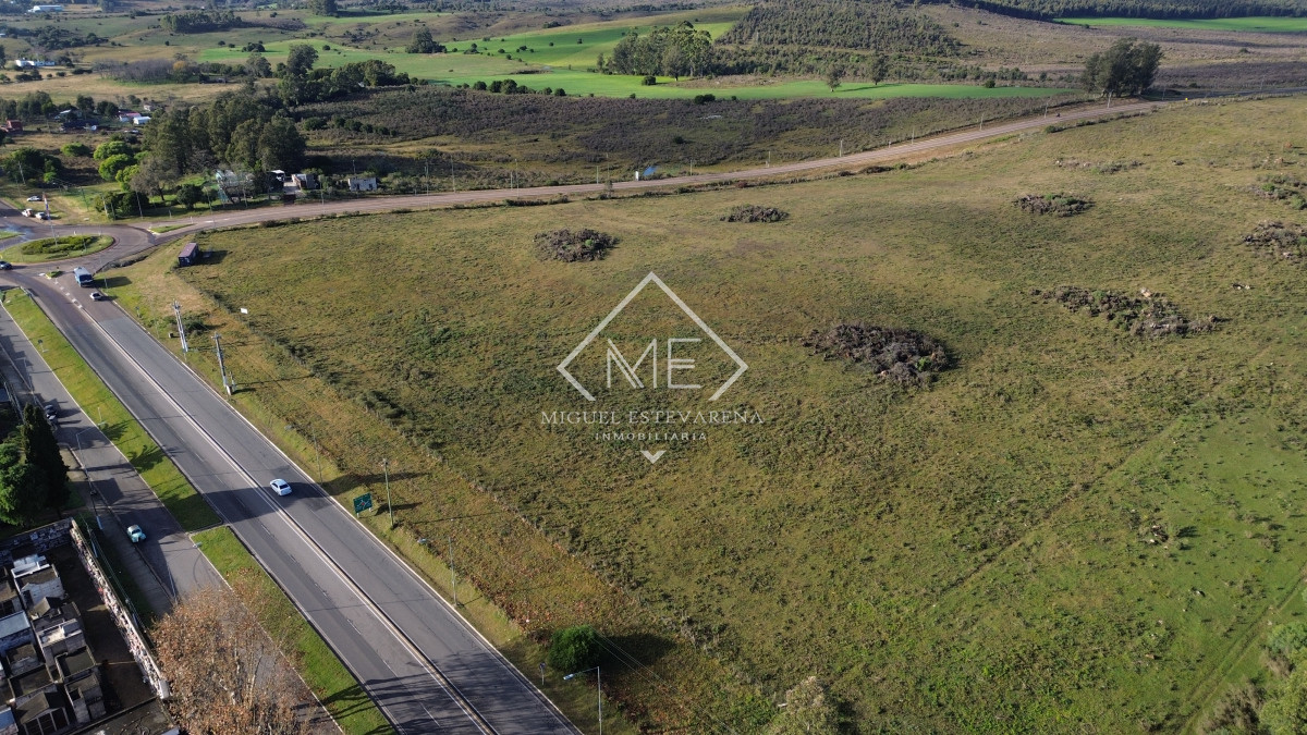 Terreno ID.813 - Venta Terrenos Grandes Minas - Zona Empresa, Logística, Acceso Ruta