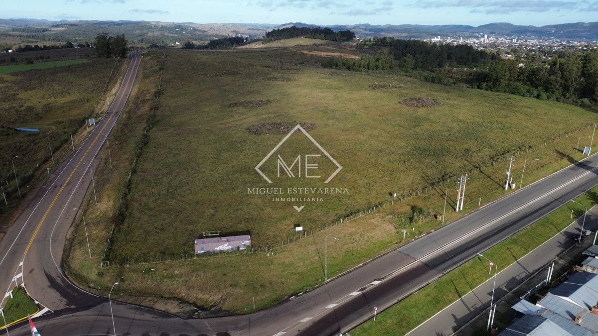 Terreno ID.813 - Venta Terrenos Grandes Minas - Zona Empresa, Logística, Acceso Ruta