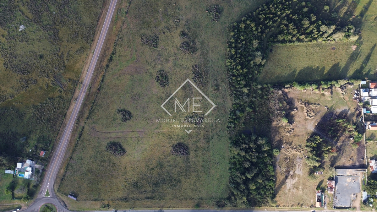 Terreno ID.813 - Venta Terrenos Grandes Minas - Zona Empresa, Logística, Acceso Ruta