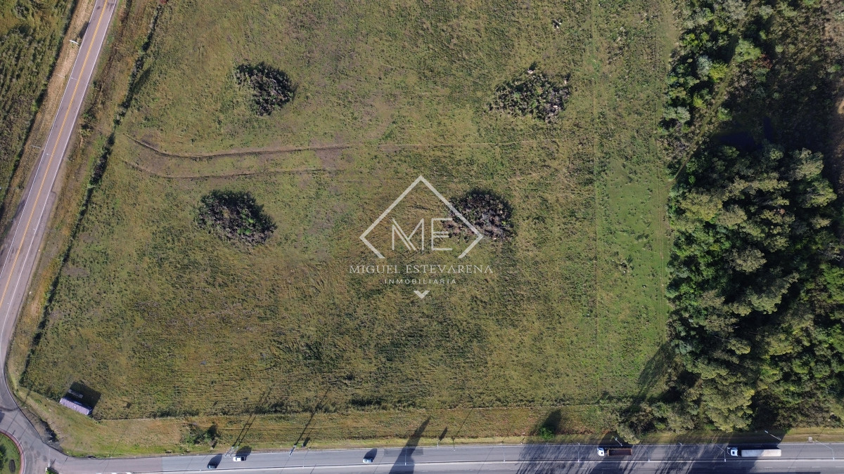 Terreno ID.813 - Venta Terrenos Grandes Minas - Zona Empresa, Logística, Acceso Ruta