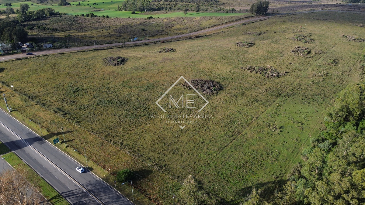 Terreno ID.813 - Venta Terrenos Grandes Minas - Zona Empresa, Logística, Acceso Ruta