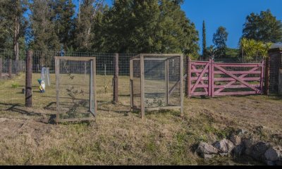 Terreno en venta San Francisco de la Sierra