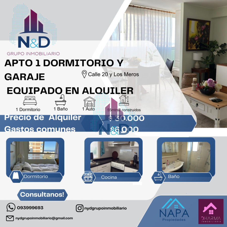 Apartamento ID.184 - Alquiler temporal o anual, Apto un dormitorio equipado y garaje.