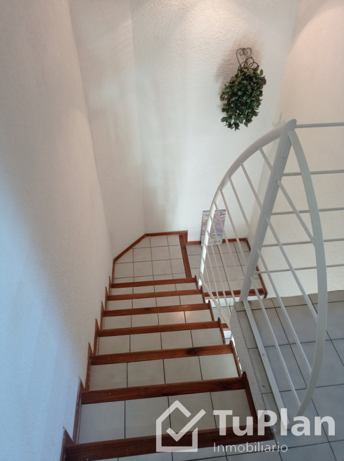 Apartamento ID.1978 - Ref. 5027 Apartamento 4 Dorm. en Buceo