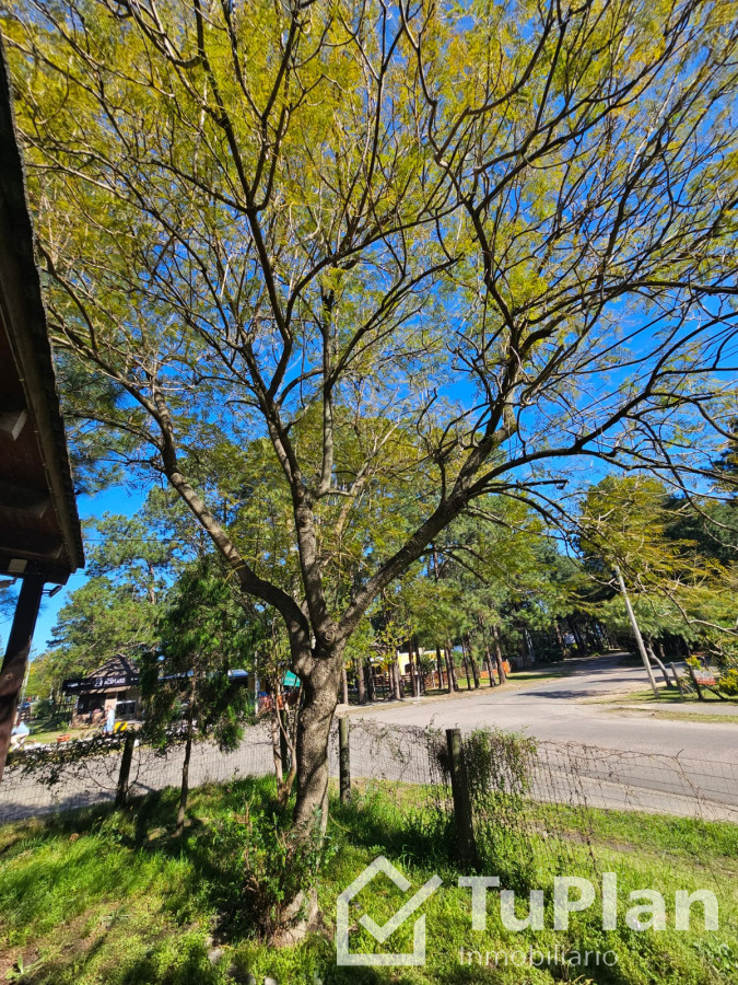 Apartamento ID.1856 - (Ref 4.262) Se alquila casa de 2 dormitorios cercana a la playa en Piriápolis 