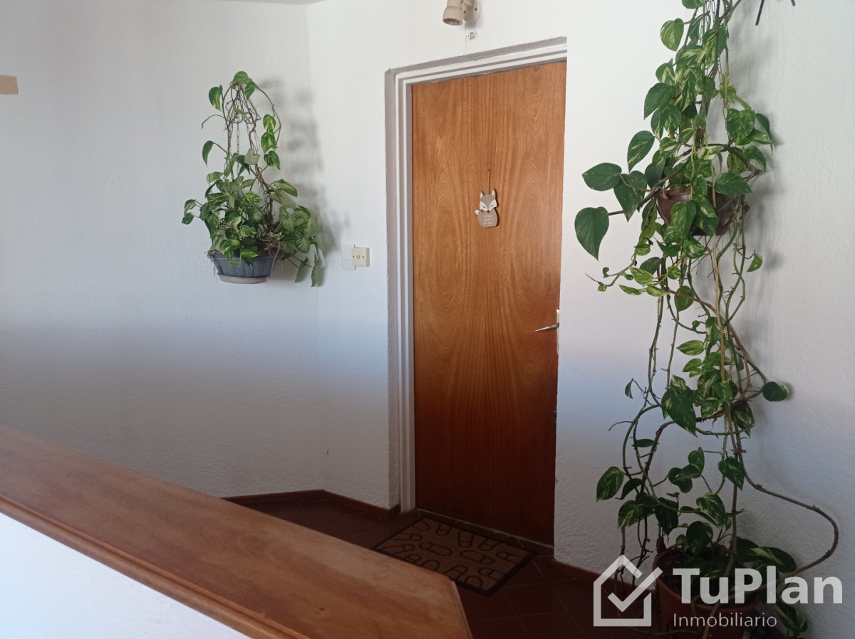 Apartamento ID.1978 - Ref. 5027 Apartamento 4 Dorm. en Buceo