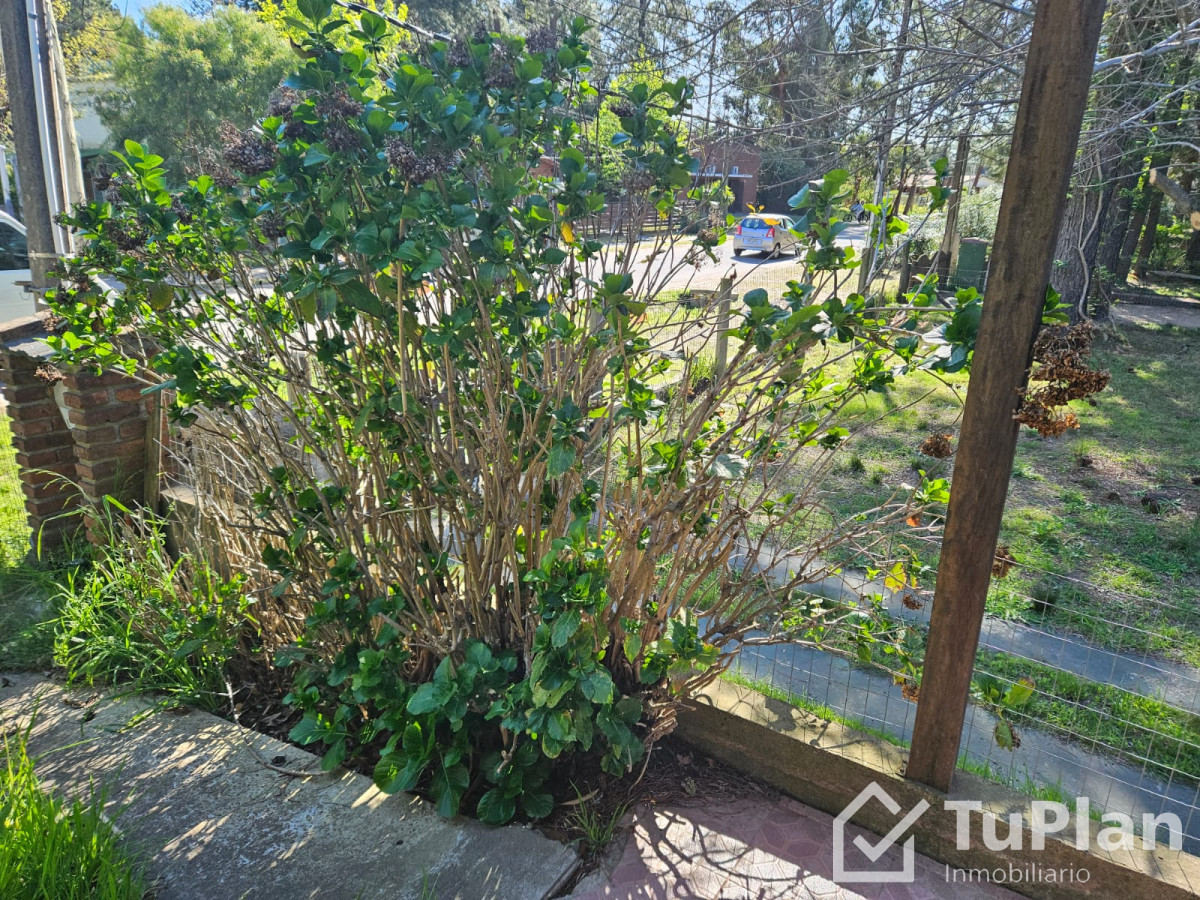Apartamento ID.1856 - (Ref 4.262) Se alquila casa de 2 dormitorios cercana a la playa en Piriápolis 