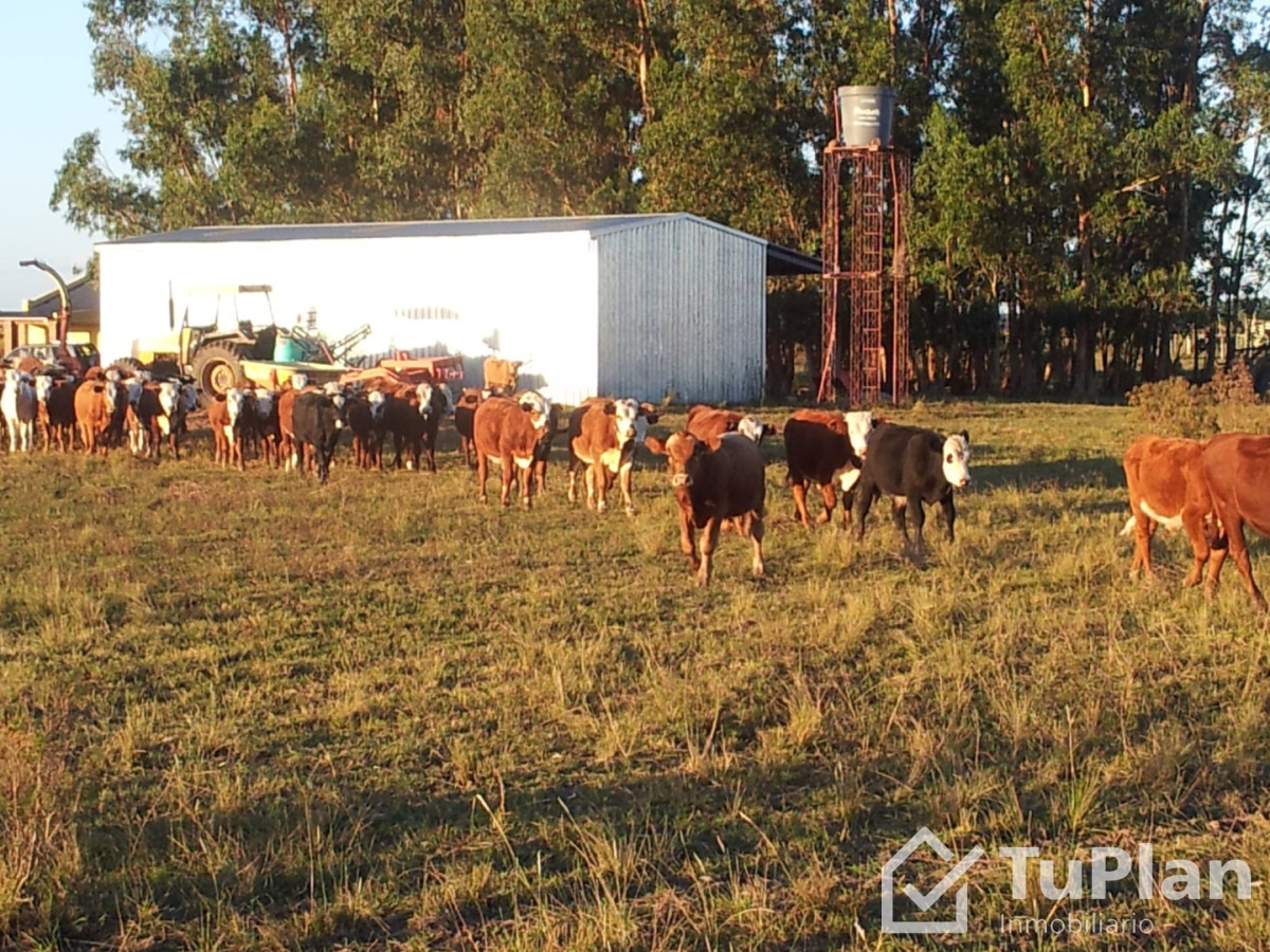 Chacra ID.1969 - Ref. 5018 Chacra Invernada Don Fredolino