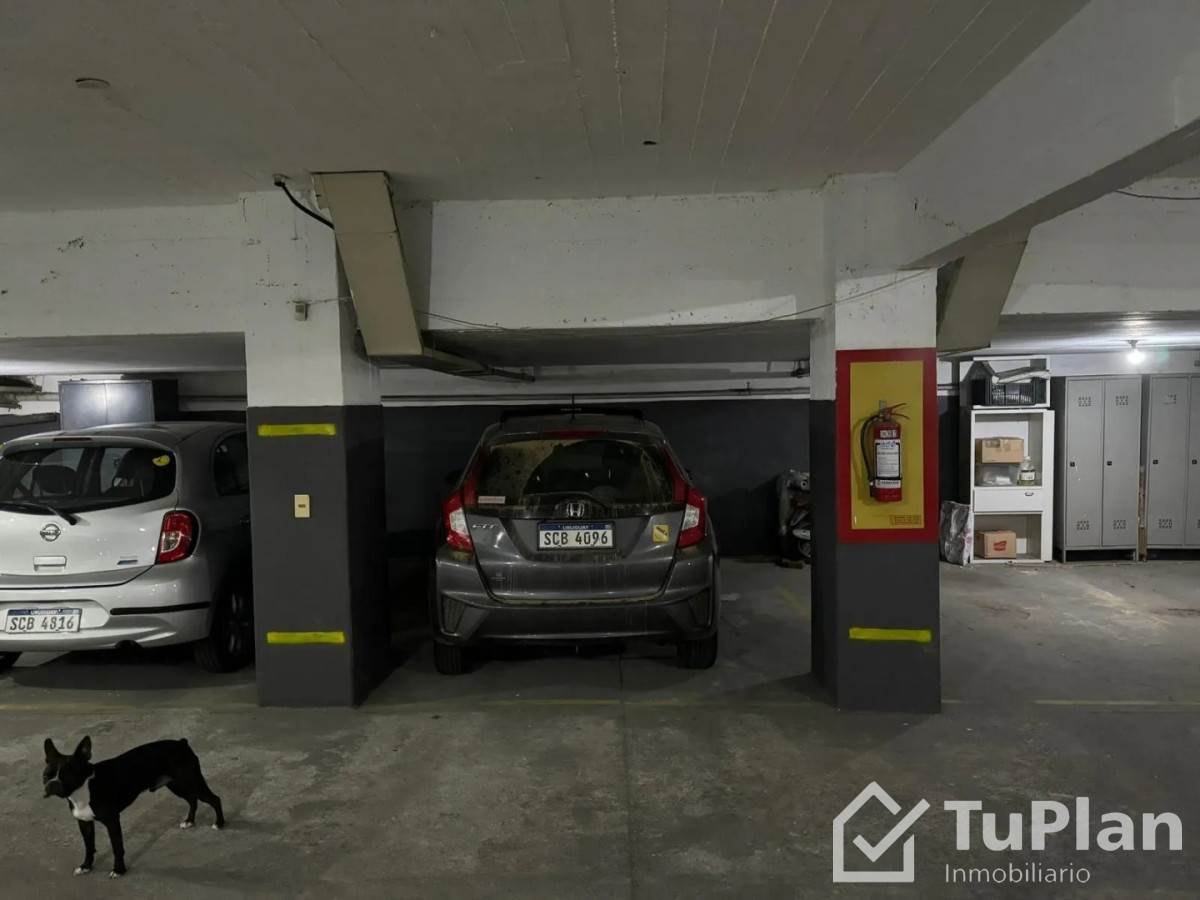 Apartamento ID.1970 - Ref.5019 Apartamento 2 Dorm. Pta. Carretas