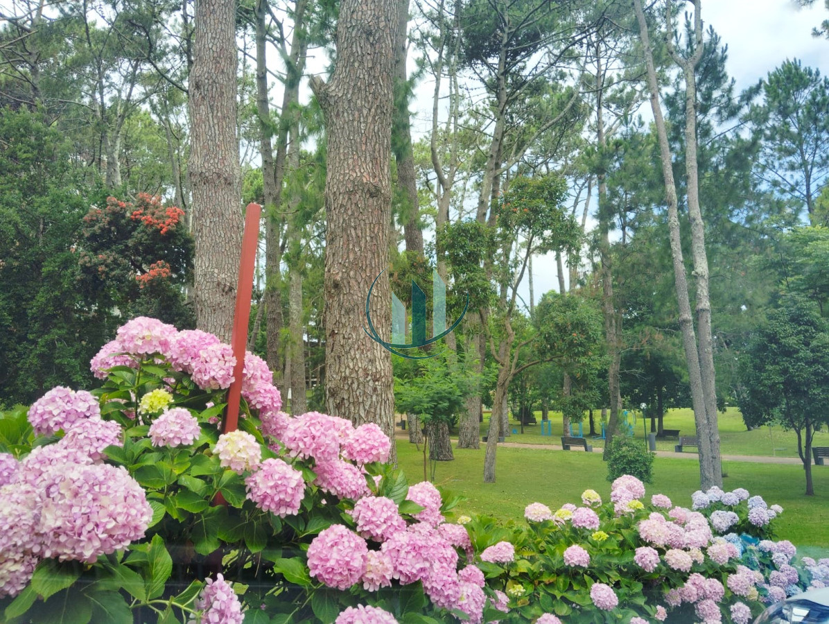 Apartamento ID.776 - ALQUILER DE VERANO - 1 Dormitorio Punta del Este - Sobre playa mansa Pda 17