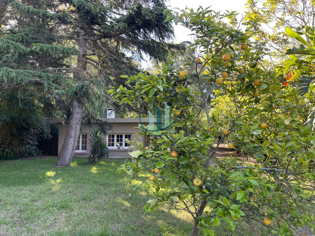 Casa ID.453 - Alquiler temporal Punta del este san rafael 