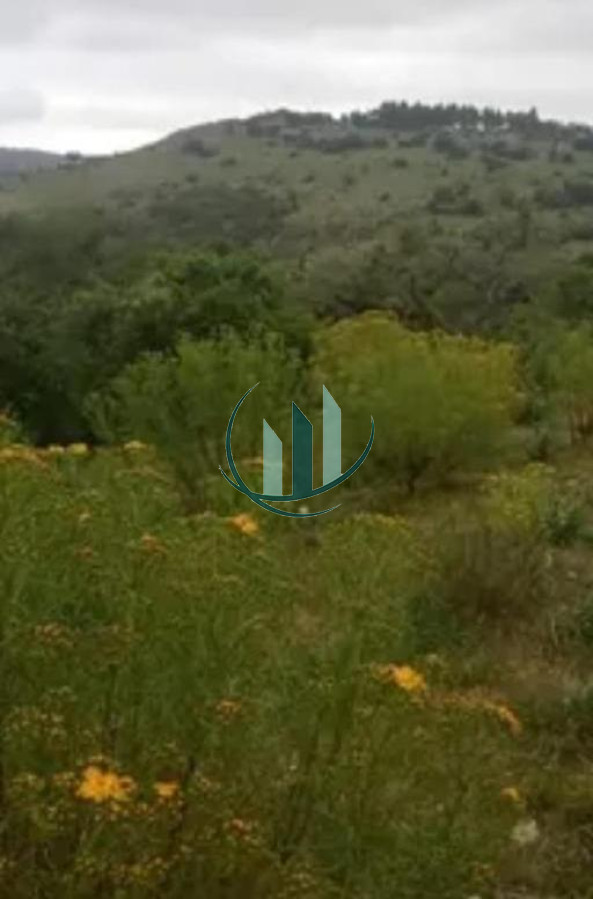 Chacra ID.147 - Chacra en Venta a 3km De Pueblo Edén