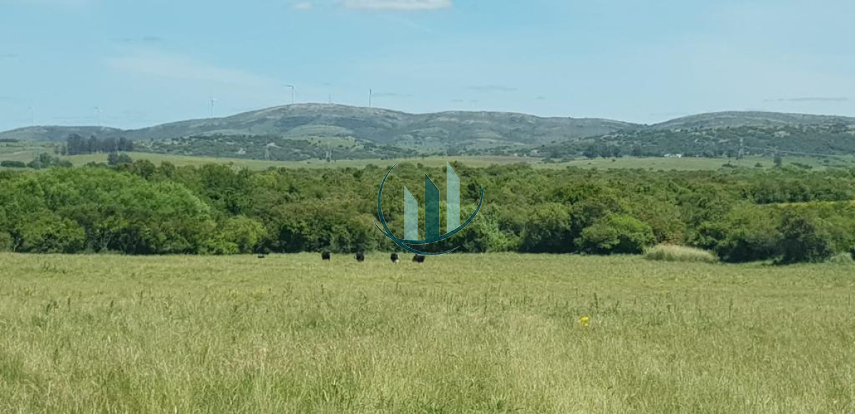Chacra ID.601 - Se alquila anual Chacra en Ruta 39