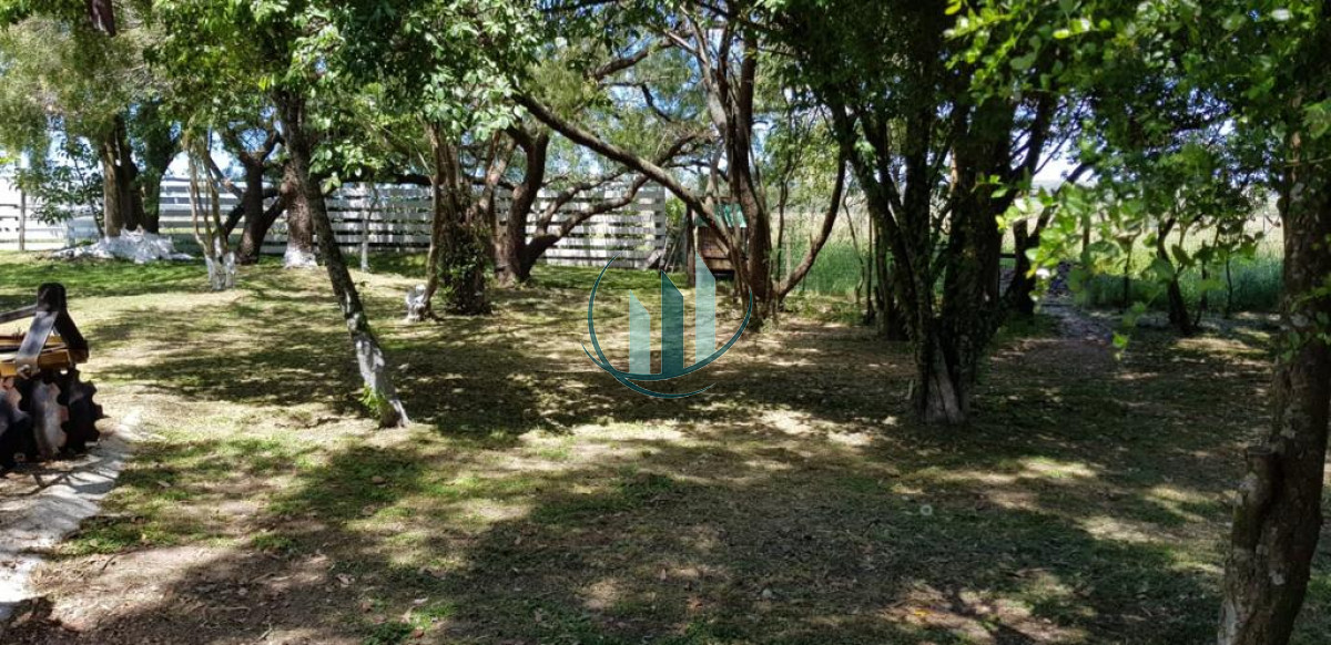Chacra ID.601 - Se alquila anual Chacra en Ruta 39