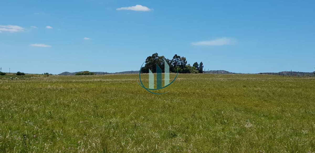 Chacra ID.601 - Se alquila anual Chacra en Ruta 39