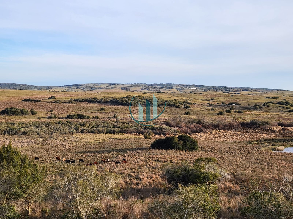 Chacra ID.501 - Chacra en Venta (36 has.), Garzón