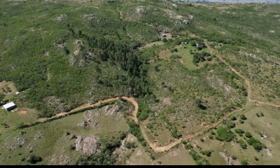 Campo en Ruta 39